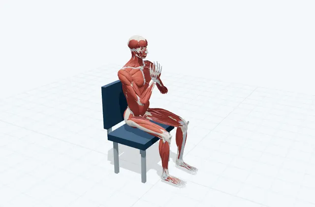 手のひらを合わせる手首の3D模式図