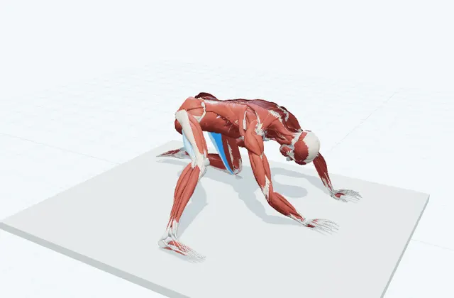 内ももの動的ストレッチ(片脚を横へ伸ばす)の動作の一場面を示す3D模式図