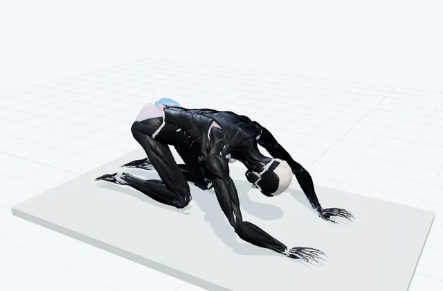 四つ這いでお尻を後ろへ引くの3D模式図