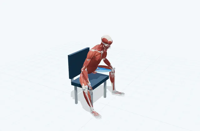 内もものストレッチ(椅子)の動作の一場面を示す3D模式図