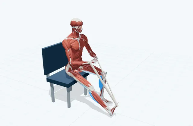 A schematic 3D view of Seated Towel Calf Stretch