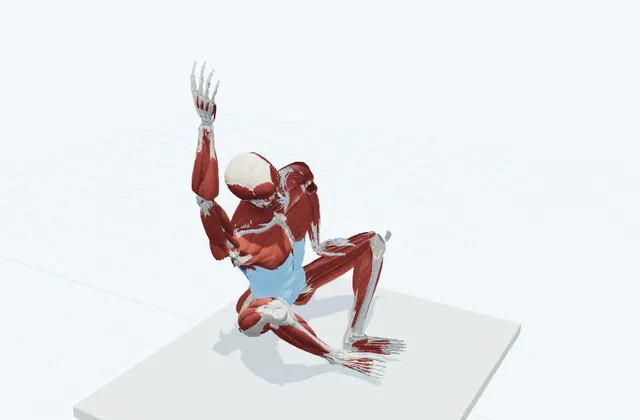 体側のストレッチ(床に座って)の動作の一場面を示す3D模式図