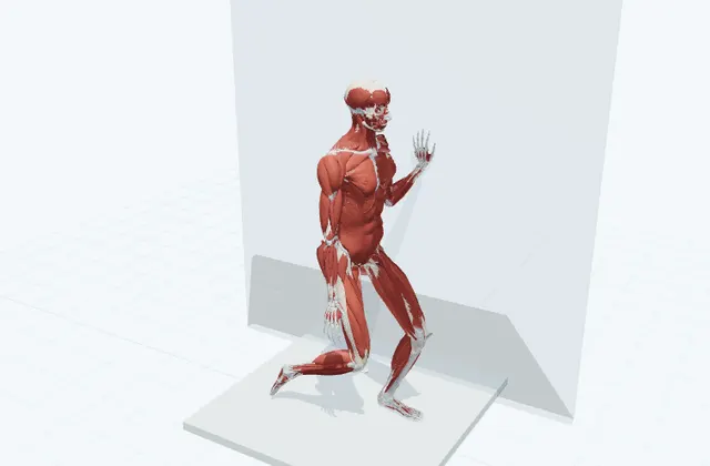 すねのストレッチ(壁)の動作の一場面を示す3D模式図