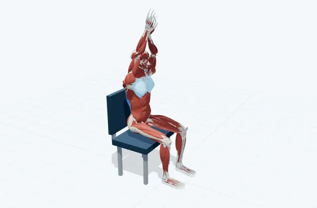 脇と肩のストレッチ(椅子・腕を上げる)の動作の一場面を示す3D模式図