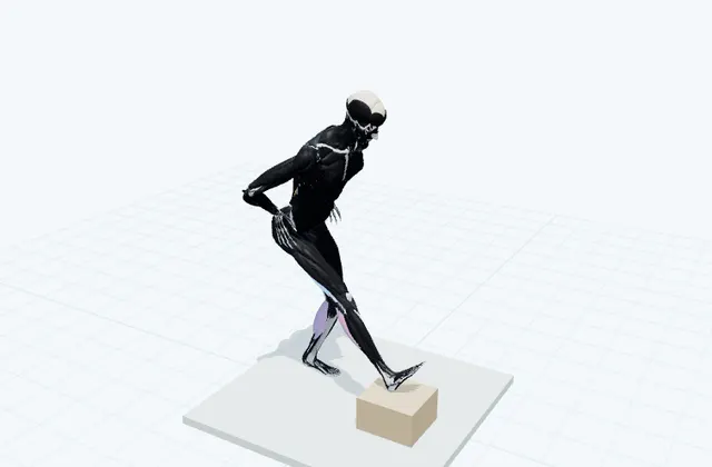 立位でもも裏の3D模式図
