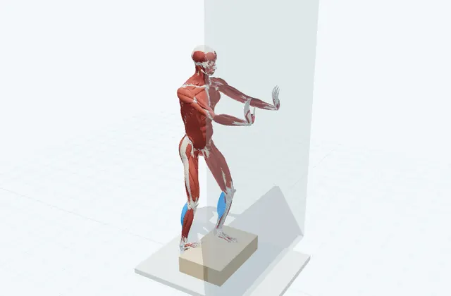 ふくらはぎのストレッチ(段差)の動作の一場面を示す3D模式図