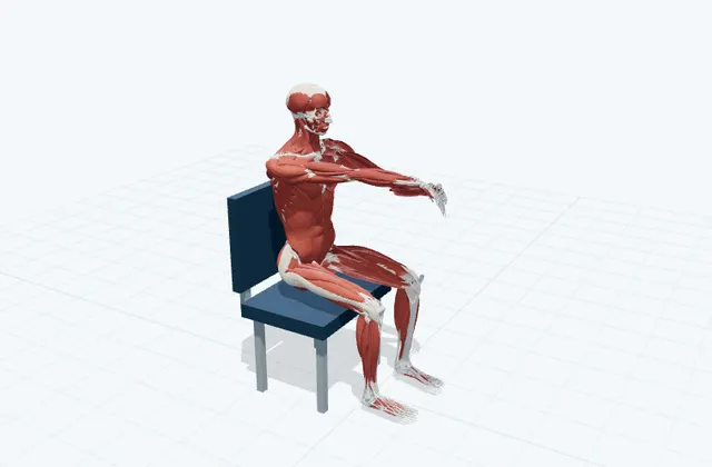 手の甲側の前腕の3D模式図