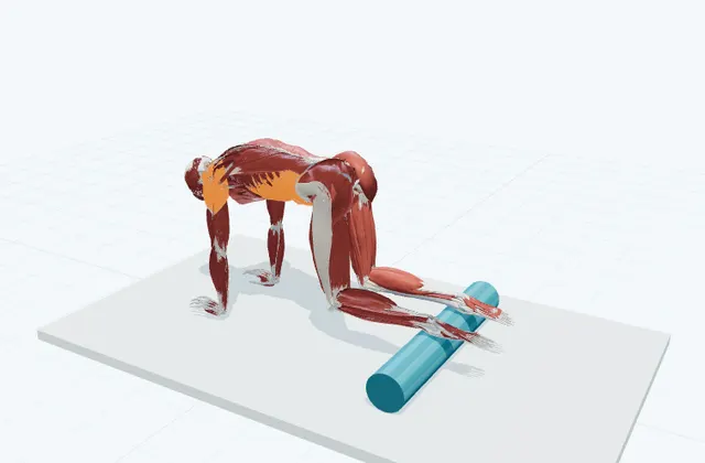 フォームローラーで膝を引き寄せる(体幹)の動作の一場面を示す3D模式図