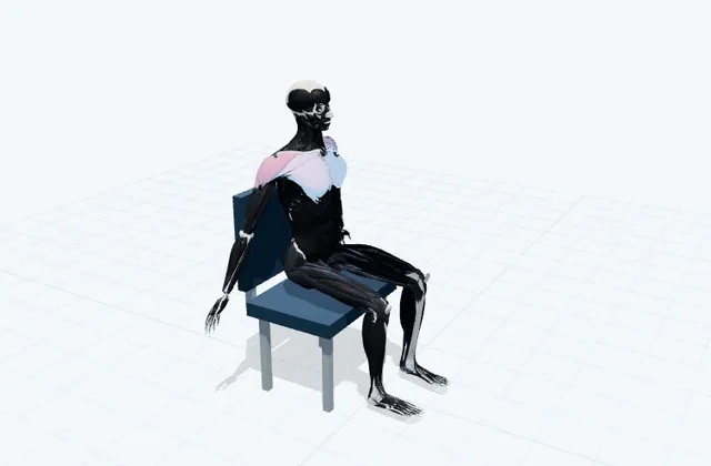 椅子で胸を開くの3D模式図