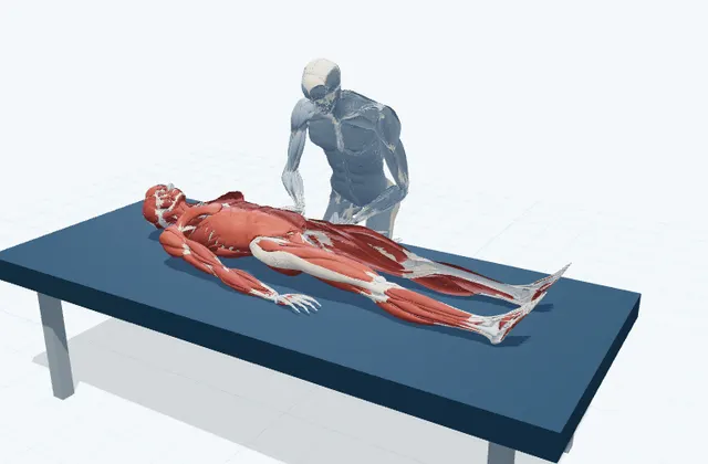 腕の前側の補助ストレッチ(肘を伸ばす)の動作の一場面を示す3D模式図