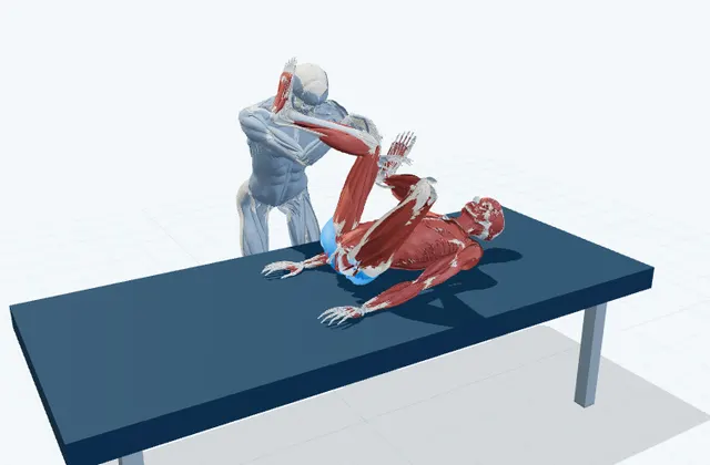 お尻の補助ストレッチ(4の字)の動作の一場面を示す3D模式図