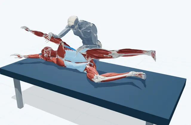 体側の補助ストレッチ(横向き)の動作の一場面を示す3D模式図