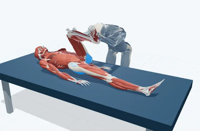 お尻の奥の補助ストレッチ(膝を反対の肩へ)の動作の一場面を示す3D模式図