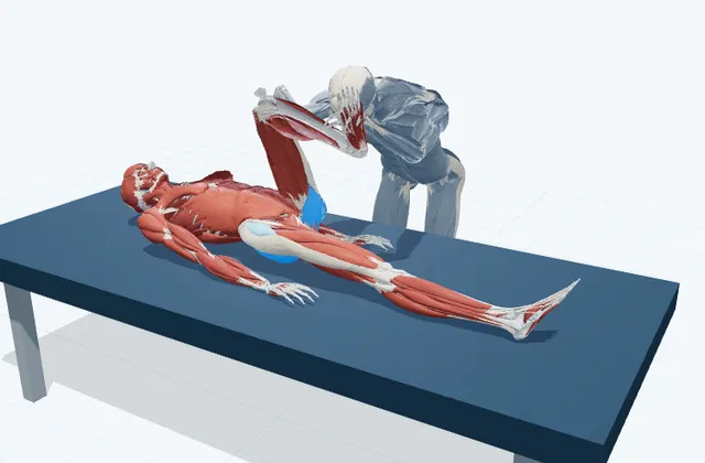 お尻の奥のPNFストレッチの動作の一場面を示す3D模式図