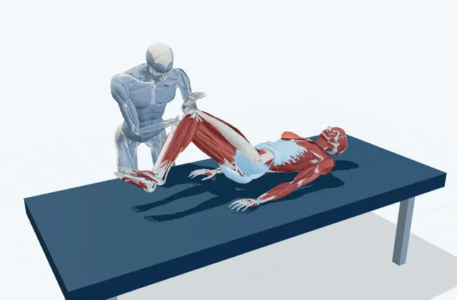 腰と背中の補助ストレッチ(仰向け)の動作の一場面を示す3D模式図