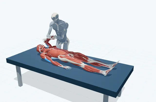 二の腕の補助ストレッチの動作の一場面を示す3D模式図