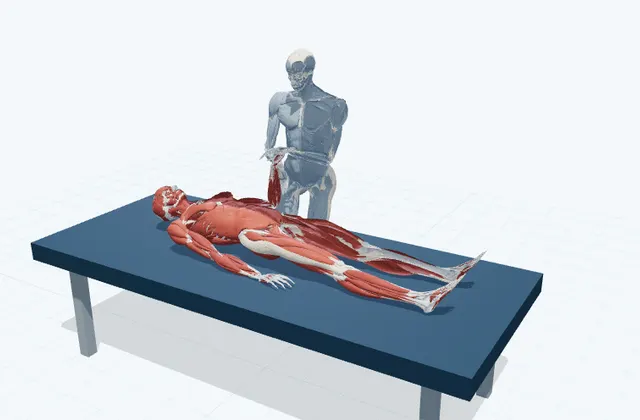 手首・前腕の補助ストレッチ(手の甲側)の動作の一場面を示す3D模式図